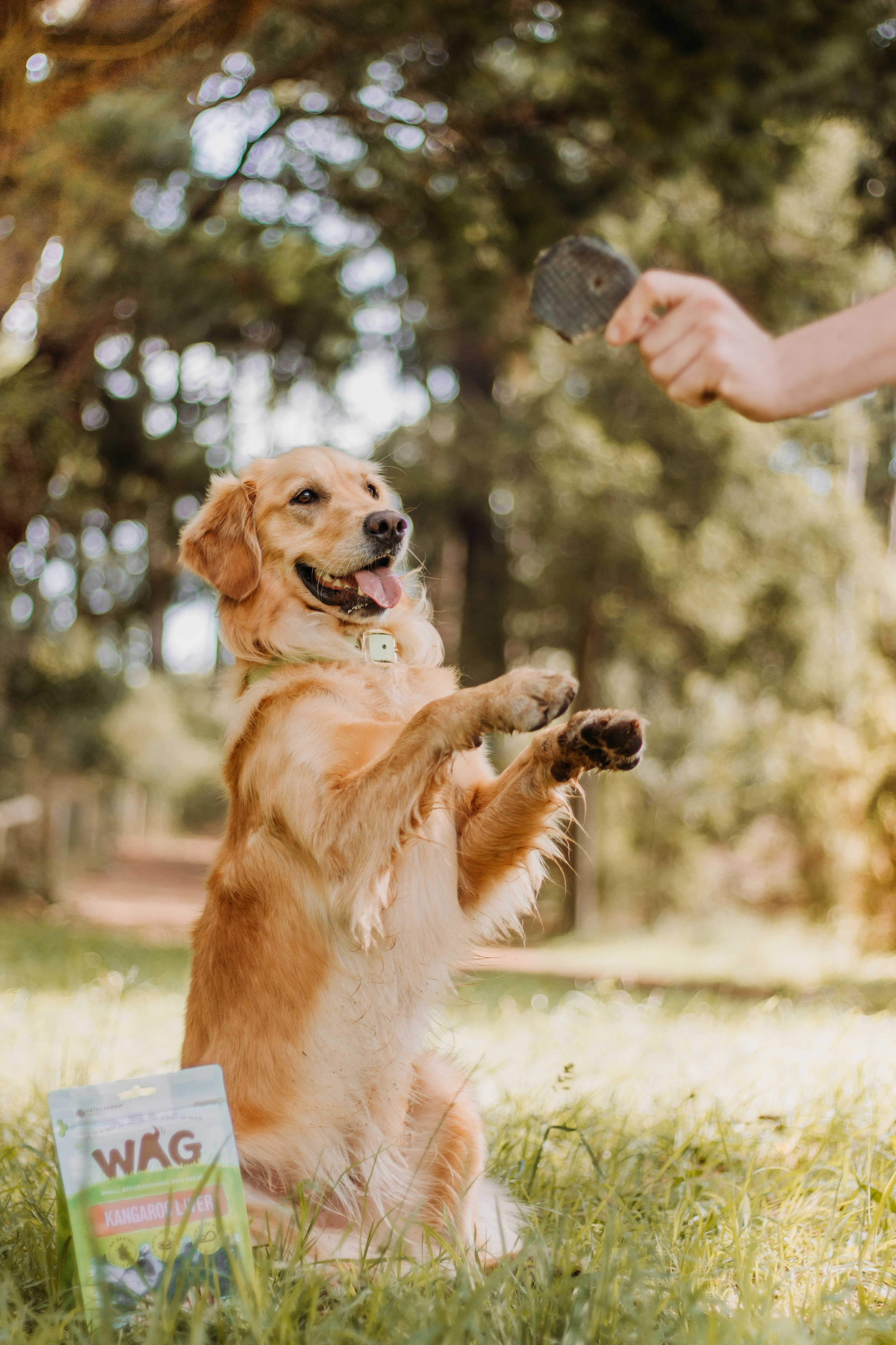 WAG Happy Bites