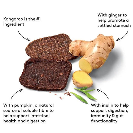 Digestion Jerky