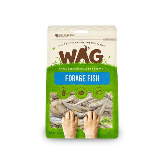 Forage Fish (50 g)