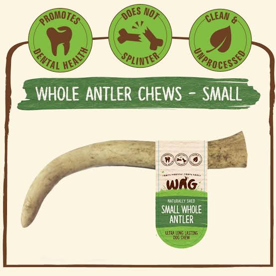 Whole Small Antler