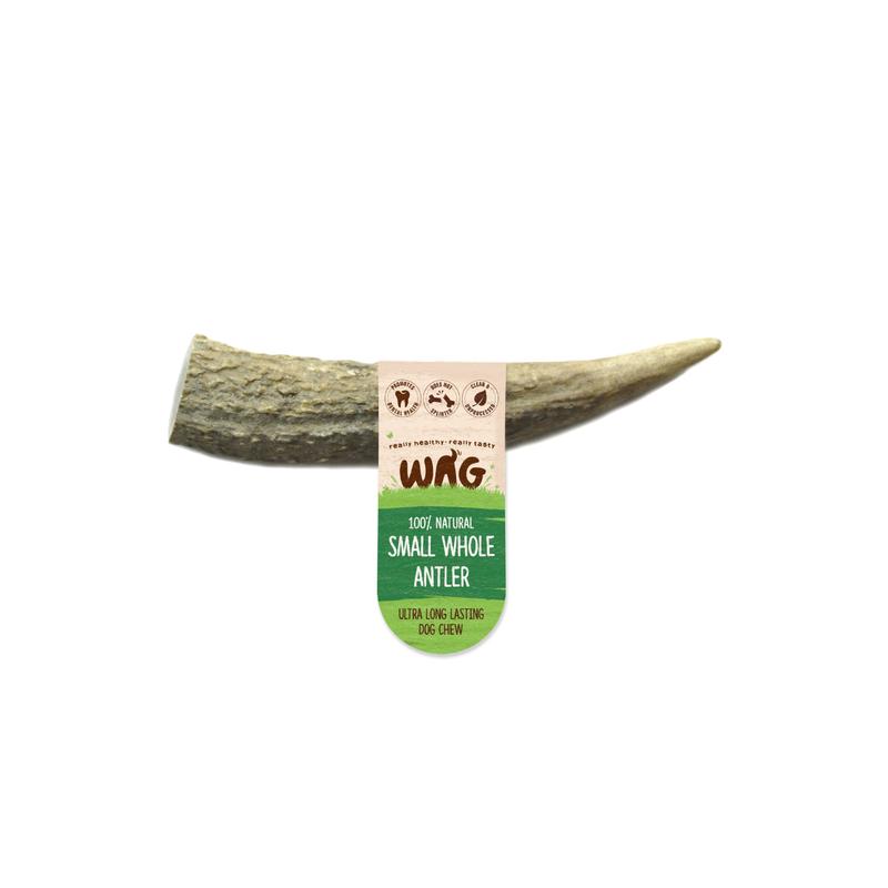 Whole Small Antler